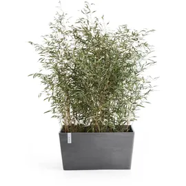 Ecopots Paris Grau (HxBxT) 40 x 60 26 cm