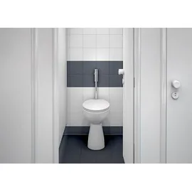 Schell Schellomat Basic WC-Druckspüler