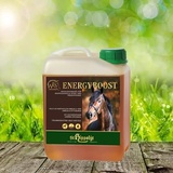 St. Hippolyt WES Energy Boost 5 Liter Kanister