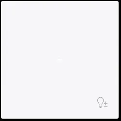BUSCH-JAEGER Wippe 1-fach mit Symbol 6234-10-44G