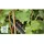 Bosch DIY AdvancedHedgeCut 65 06008C0801