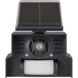 Gardigo Vogelvertreiber Solar Ultraschall 1 St.