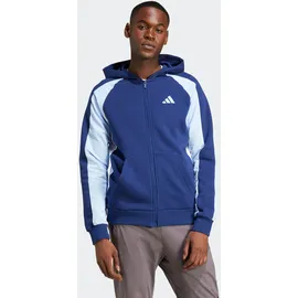 adidas Seasonal Essentials Kapuzensweatshirt Herren Blau M