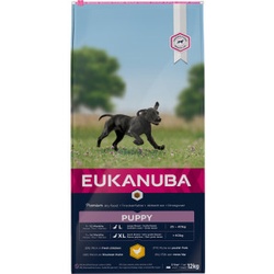 Eukanuba Puppy Large Breed Huhn Hundefutter 2 x 15 kg
