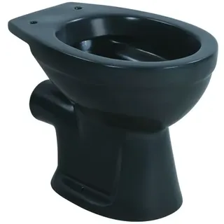 Sanicomfort Stand-WC mit WC-Sitz Grau spülrandlos