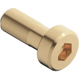 Dornbracht Zyl-Schraube M4x10 DIN6912 A2 09303005490 ERSATZTEILE 093030054 M4 x 10 mm