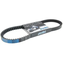 Keilriemen Polini Evolution Aramid Sym Joyride 200
