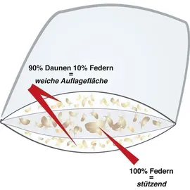 Häussling Königstraum Dauneneinziehdecke Warm 90% Daunen und 10% Federn (Größe: 220x240 cm*)
