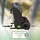 fablekids Kinderautositz mit Isofix | Autokindersitz ab 15 M. | Autositz für Kinder 76-150cm | 3-Punkt-Gurt | ECE R129/03 | Grau