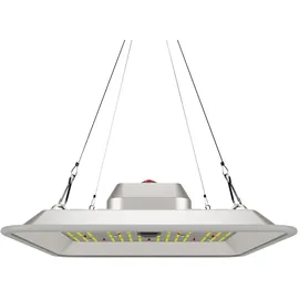 Greenception GC-Pure 80W