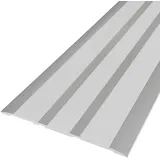 Abdeckprofil Aluminium natur ungebohrt (L= 250cm, B= 100 mm)