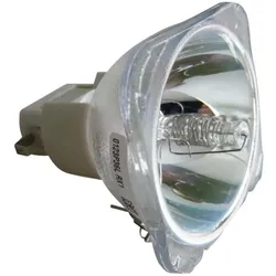 Beamerlampe (nur Leuchtmittel) für DIGITAL PROJECTION (ersetzt: 111-146)