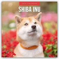 Brown trout-auslieferer flechsig Shiba Inu 2026 - 16-Monatskalender