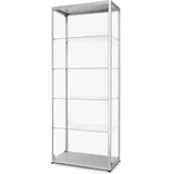 Showdown Displays Glasvitrine VR2-24-800 80 x 200 x 40 cm Silber