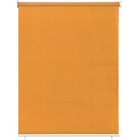 paramondo Außenrollo Senkrechtmarkise | freihängend, 140x140 cm, orange | paramondo Balkonrollo