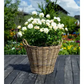 Spetebo Rattan Pflanzkorb 42 cm