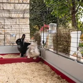 Ferplast Nagerheim Krolik 160 162 x 60 x 50 cm