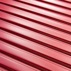Delsey Caumartin Plus 4-Rollen 69,5 cm / 71,15 l red