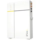 Solax 'TP-LD53 - 5,3 kWh - LV'(0% MwSt §12 III UstG)