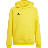 Adidas Kinder Entrada 22 Sweat Hoodie, Team Yellow/Black, 164