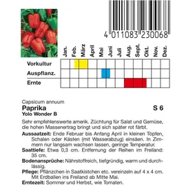 Frankonia Paprika Yolo Wonder