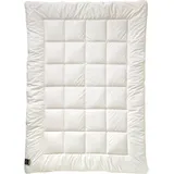 billerbeck Winterbettdecke Alcando 135 x 200 cm Baumwolle Weiß