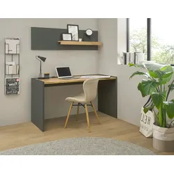 Furn.Design Büromöbel Set in grau matt und Wotan Eiche mit Schreibtisch und Regal für Homeoffice Center