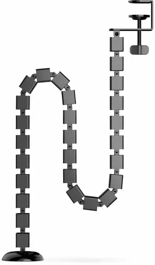 Spine 