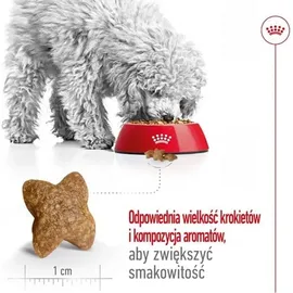 Royal Canin Mini Adult 800 g