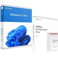 Microsoft Office 2019 Professional Plus & Windows 11 Home (Bundle)