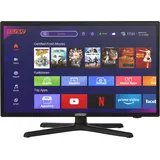SELFSAT SMART LED TV 1222 (55 cm/22") inkl. DVB-S2/C/T2 HD Tuner mit WLAN