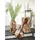 GILDE GLAS art Deko Vase Blumenvase - Glasvase aus Farbglas - Deko Wohnzimmer Geschenk für Frauen Höhe 22 cm Braun Rot