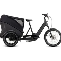 Cube Trike Cargo Hybrid 1500 Grau Modell 2025