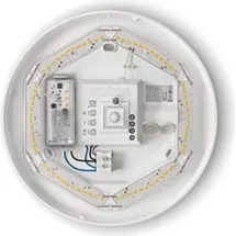 Steinel Sensor-LED-Innenleuchte 6er Pack 320 x 110 mm Kunststoff