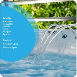 Darlly SC809 Filter Ersatzfilter Lamellenfilter für Wellis Whirlpool