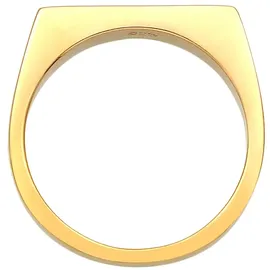 Elli Ring 925 Silber Pinky Ring, Siegelring in gold, | Gr.: 48