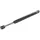Magneti Marelli Gasfeder, Koffer-/Laderaum 430719068305