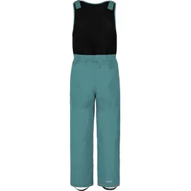 Normani Carmacks Skihose Blau 92
