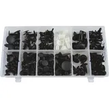 Jbm ESTUCHE DE Clips PLASTICOS Ford 169 Stück 52891