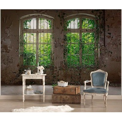 LIVING WALLS Fototapete „Old Windows Vlies“ Tapeten Fototapete Fenster mit Pflanzen Beige Grau Grün 3,50 m x 2,55 m Gr. B/L: 3,5 m x 2,55 m, bunt Fototapeten