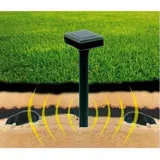 Buri Solar Mäuseschreck 2er-Set