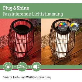 Paulmann Plug & Shine Basket Zigbee 3.0 IP44 RGBW+ 3,2 W Schwarz