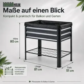Trutzholm Hochbeet Metall 80 x 51 x 80 cm Schwarz