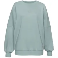 Buffalo Sweatshirt Mint 36/38