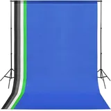 vidaXL Fotostudio-Set mit Hintergrund und Softbox-Leuchte