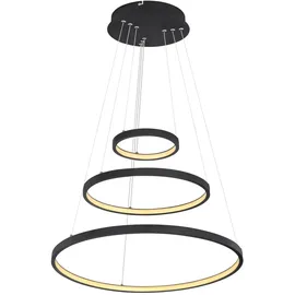 GLOBO Ralph 1-flg. 51 cm rund schwarz