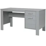 Woood Schreibtisch Dennis Kiefer Hellgrau
