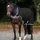 Horseware Ireland Führanlagendecke 200g Walker Rug M (130-140 cm) Schwarz/Silber