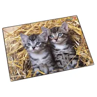 Läufer 46637 Schreibtischunterlage Katzen im Stroh, 53x40 cm, rutschfeste Schreibunterlage für Kinder, Zubehör für Kinderschreibtisch, mit transparenter Seitentasche