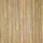 Sol Royal SolVision B89 Sichtschutz Bambus 600 x 160 cm